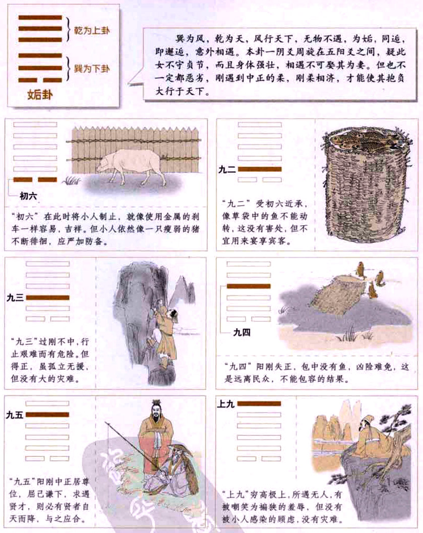 【自学易经之44卦】姤卦：邂逅小人，刚毅果断