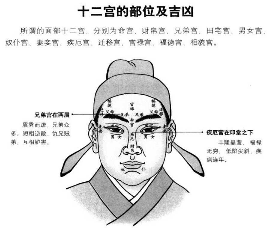 看面部十二宫，推人生百态