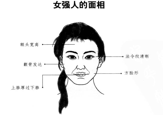 怎样从面相中看出是否会成为女强人?