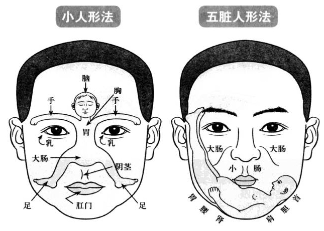 性情温柔的人有什么样的面相?