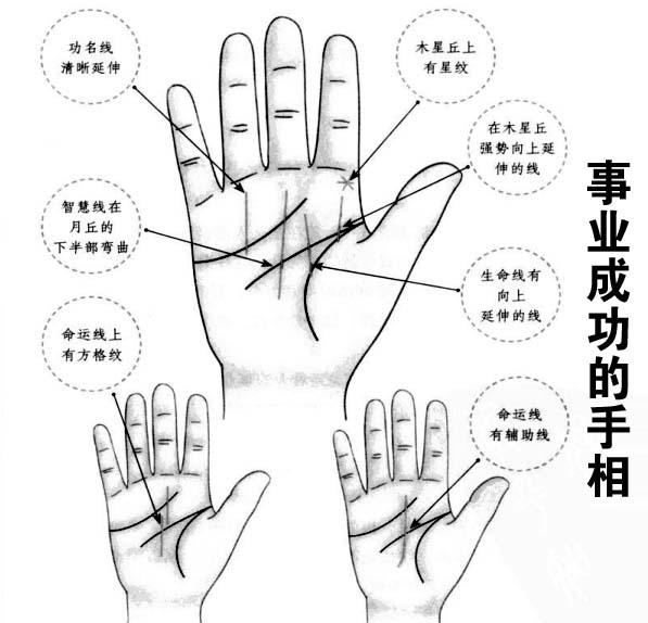 什么样的手相注定功成名就?