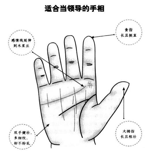 什么样的手相适合当领导?