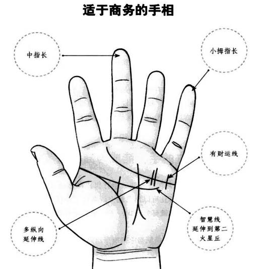 什么样的手相能成为商界精英?