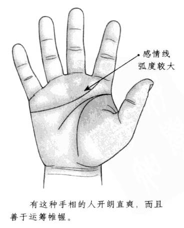 (3)感情线弯曲较大的人