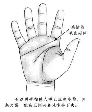 感情线平直，且向前方延伸