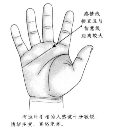 感情线笔直，且与智慧线距离较大