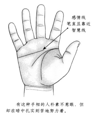 感情线平直，朝向中指下方延绅，且靠近智慧线