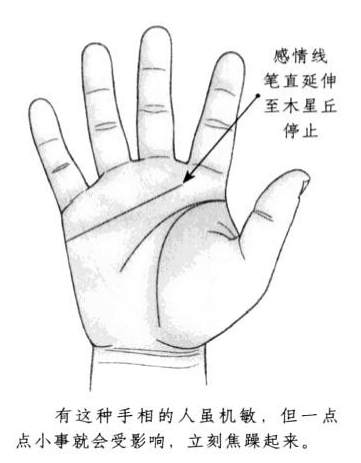 感情线笔直延伸至木星丘停止