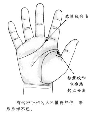 感情线弯曲，智慧线和生命线起点相互分离