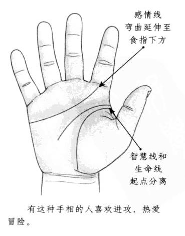 感情线形态弯曲，向前延伸至食指下部，智慧线和生命线的起点相互分离 ...