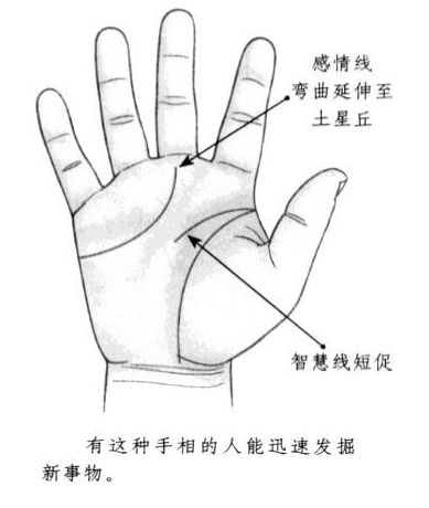 智慧线短促，感情线弯曲，向前方延伸，到达土星丘部位
