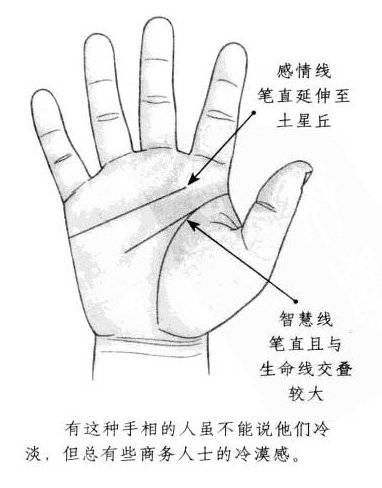 感情线笔直延伸至土星丘，智慧线形状笔直，而且和生命线交叠较大 ...