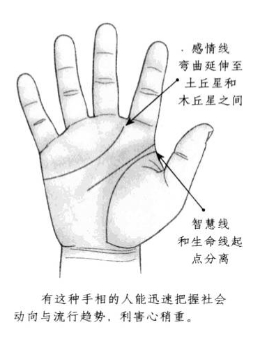 善于社交活动，喜好热闹场合的手相特征