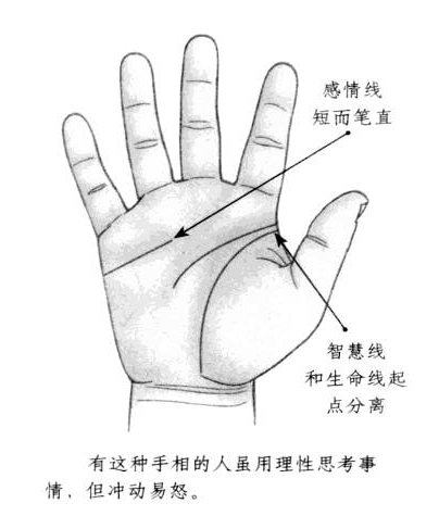 感情线的长度短，而且形态笔直，智慧线和生命线的起点相互分离 ...