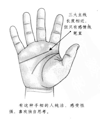 感情线形态笔直，且三大主线长度相近