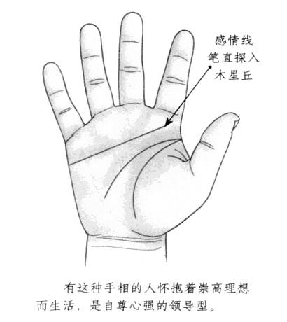 感情线形状笔直，且一直延伸至木星丘部位