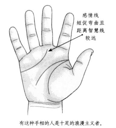 感情线短促，呈现弯曲状，且距离智慧线比较远