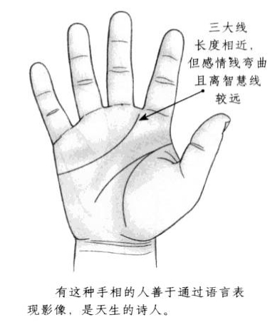 感情线呈现弯曲状，且距离智慧线较远，三大线的长度也比较相近 ...