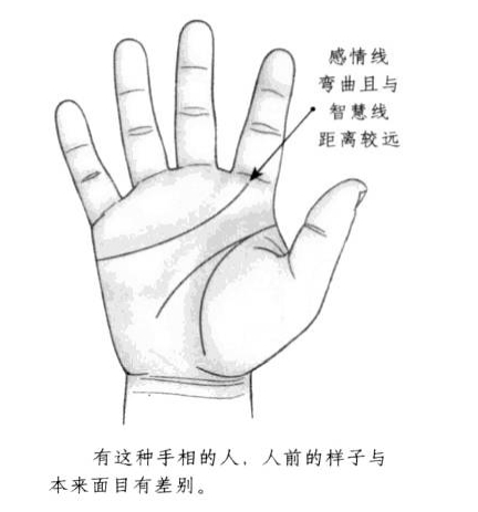 感情线形态弯曲，而且与智慧线距离较远
