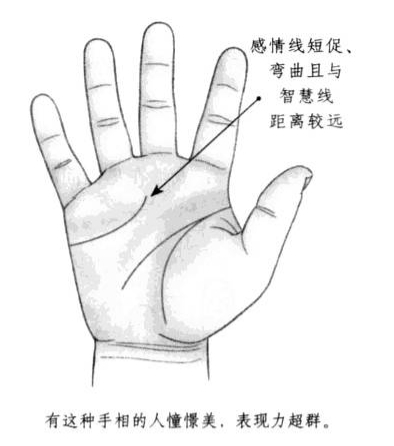 感情线长度短促，呈现弯曲状，且与智慧线距离较远