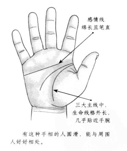 在三大主线中，生命线显得格外长，几乎贴近手腕，感情线也很长且形状笔直 ...