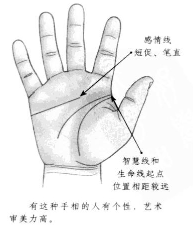 感情线短促、笔直，智慧线和生命线起点位置相距较远