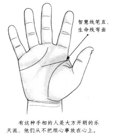 智慧线笔直，生命线弯曲