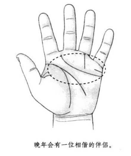 怎样从手相预见退休后的生活?