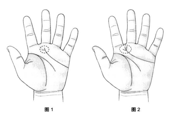 从手相上能看到美好的姻缘吗?