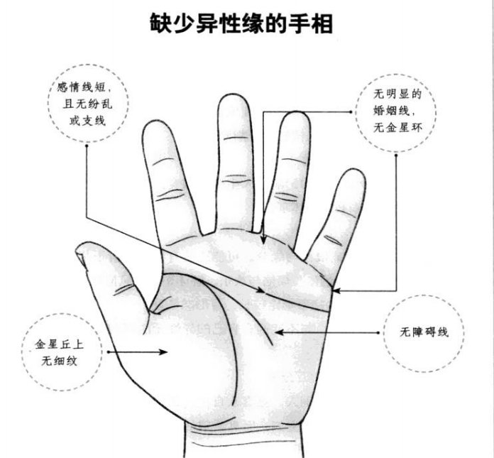 剩男剩女都有什么样的手相?