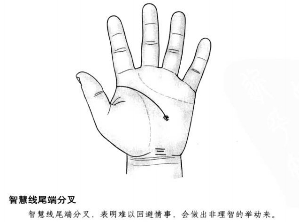 哪些线纹代表婚姻中会出现第三者?