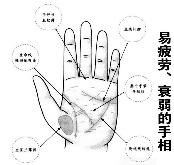 什么样的手相提示易体质衰弱?