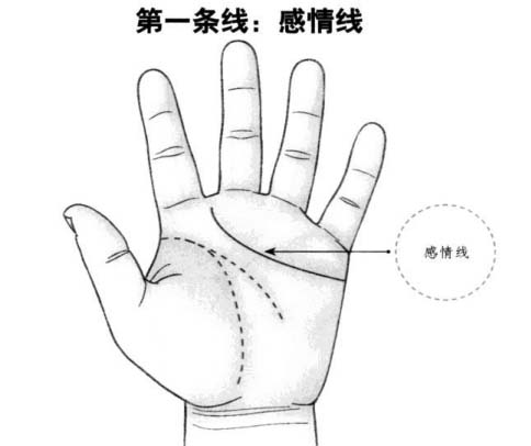 感情线：主人体呼吸系统