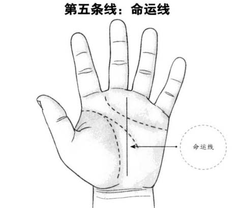 命运线：疾病征兆及中晚年时期