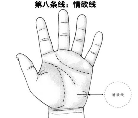 情欲线：人的整体状态