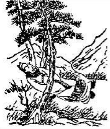 《推背图》第十一象　申戍兑下坎上节