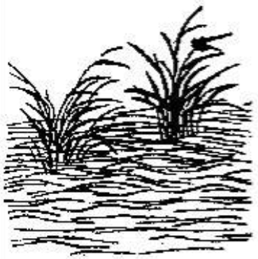 《推背图》第二十象　癸未离下乾上同人