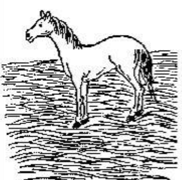 《推背图》第22象:乙酉兑下离上睽