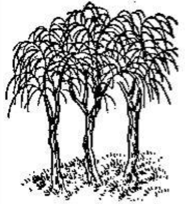 《推背图》第29象:壬辰巽下震上恒