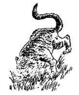 《推背图》 第五十象　癸丑震下坤上復