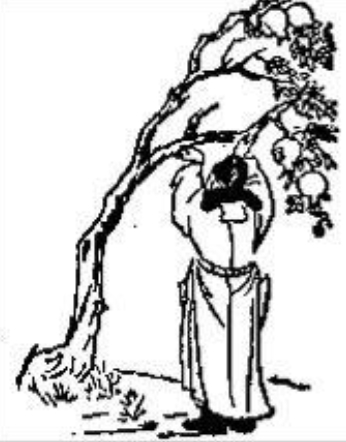 《推背图》第五十五象　戊午乾下坎上需