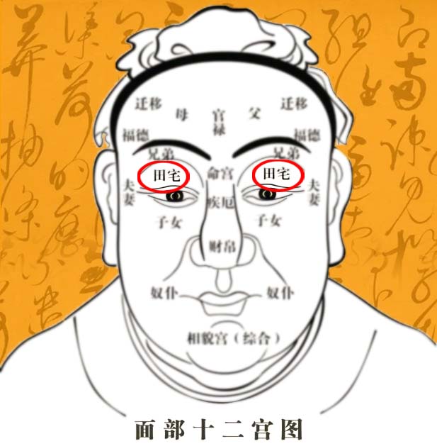 女性田宅宫长痣代表什么