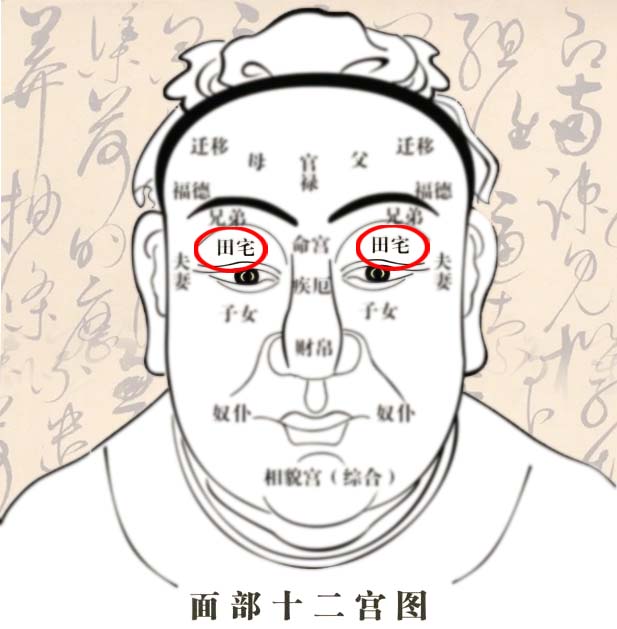 男性田宅宫长痣代表什么