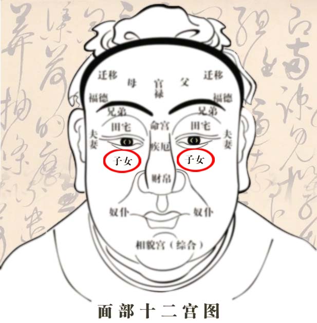 男性子女宫长痣代表什么