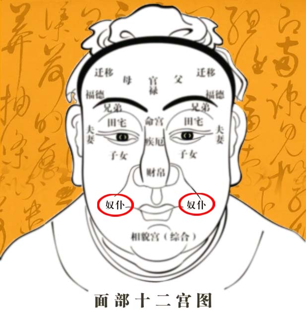 女性奴仆宫长痣代表什么