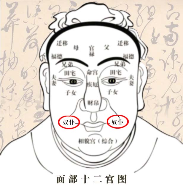 男性奴仆宫长痣代表什么
