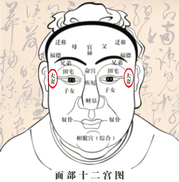 男性妻妾宫长痣代表什么