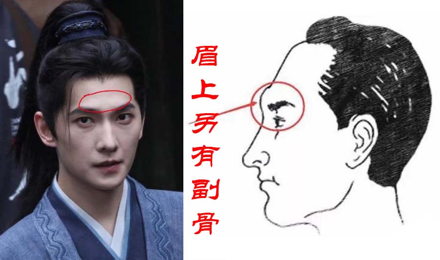 怎样从眉毛看出一个男人能否傍到富婆?