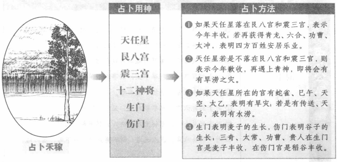 禾稼:看天任落宫格局
